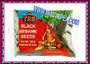 Black Sesam Seeds 100g