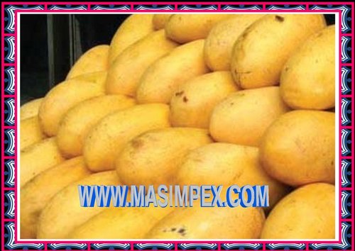 Pakistanische Mango Früchte 1100g
