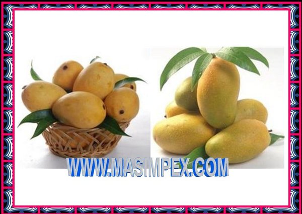 Pakistanische Mango Früchte 1100g