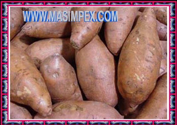 Süß Kartoffeln 500g